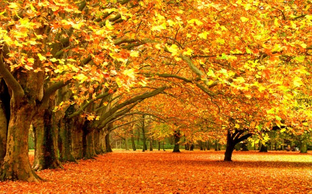 Fall – God’s Handiwork- Let’s Give Him Praise!!!