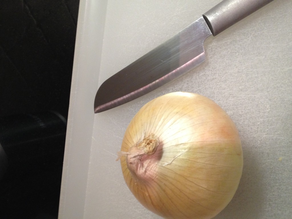 Steps For Chopping An Onion Tidbits of Joy