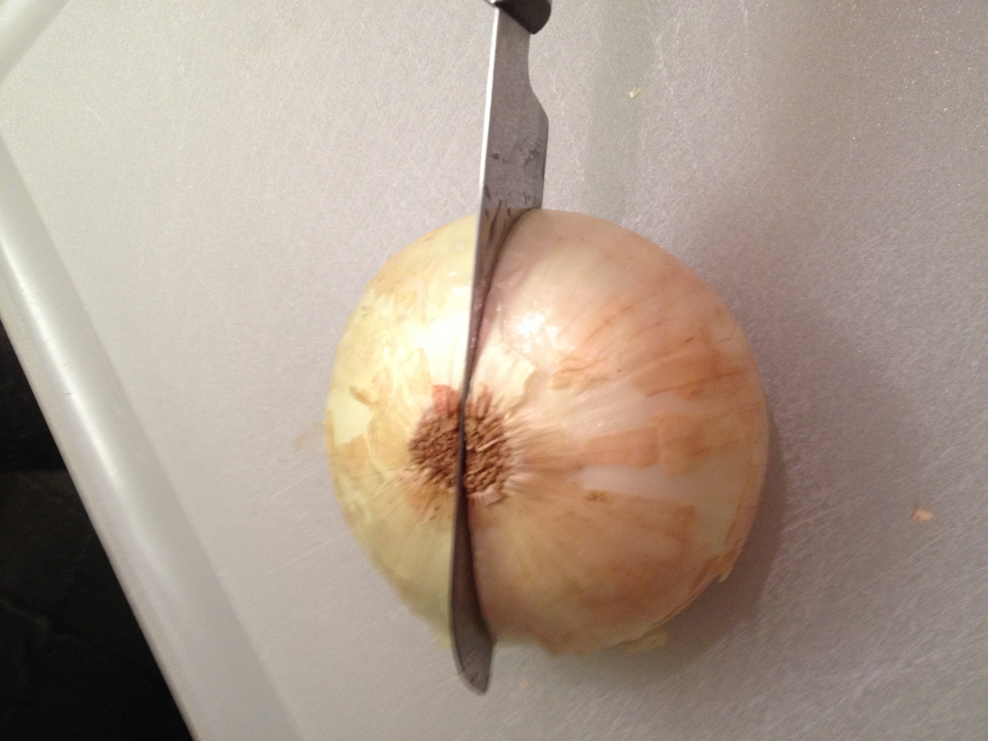 Step 2:  Place the onion flat side down and cut in half.  I like to think of this end as the end looking like hair.  One end the Blossom, One end the Hair.