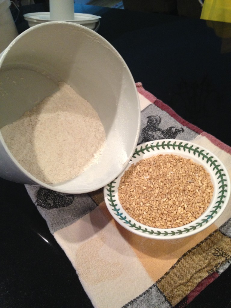 Whole Soft White Wheat before and after milling into flour.